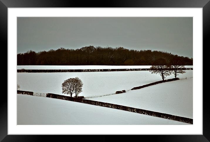 Winter Framed Mounted Print by graham young
