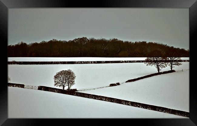 Winter Framed Print by graham young