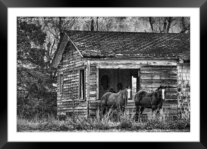 Is This Our Barn Framed Mounted Print by Betty LaRue