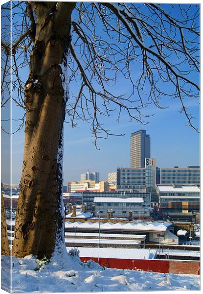 Sheffield City Centre viewed from Park Hill Canvas Print by Darren Galpin