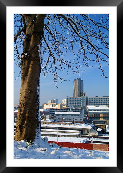 Sheffield City Centre viewed from Park Hill Framed Mounted Print by Darren Galpin