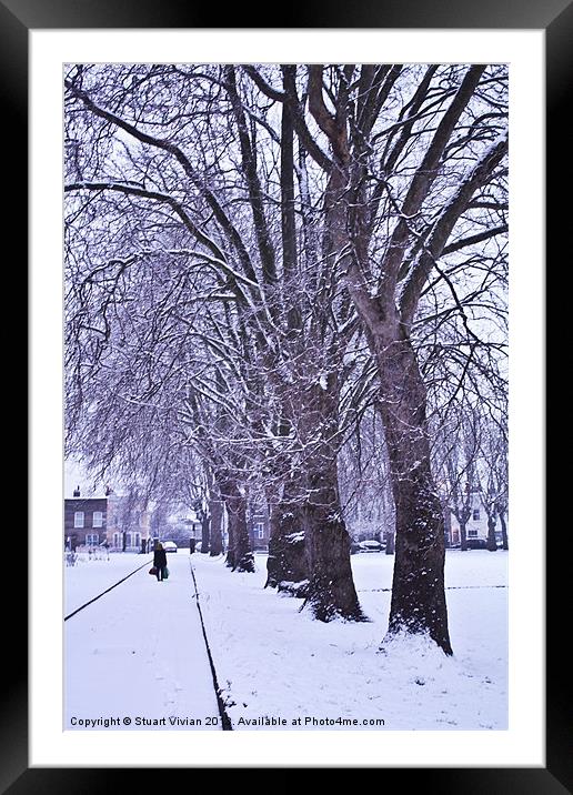 Trees in Winter Framed Mounted Print by Stuart Vivian