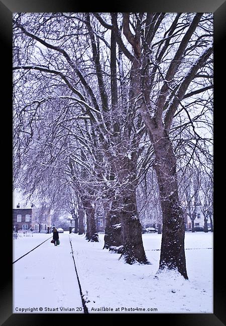 Trees in Winter Framed Print by Stuart Vivian