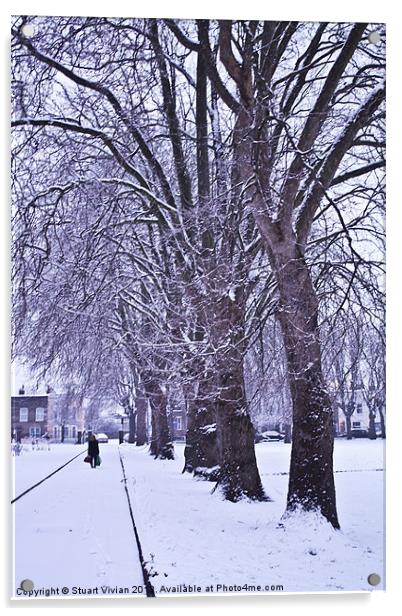 Trees in Winter Acrylic by Stuart Vivian