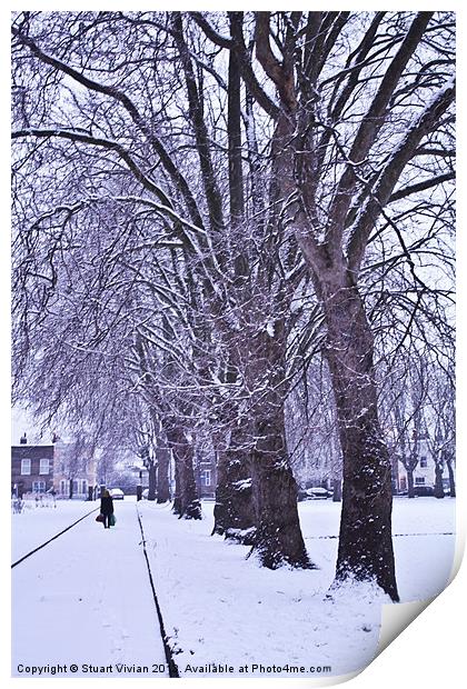 Trees in Winter Print by Stuart Vivian