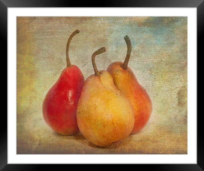 Pears Framed Mounted Print by Mike Sherman Photog