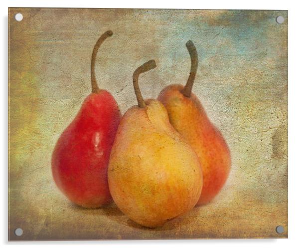 Pears Acrylic by Mike Sherman Photog
