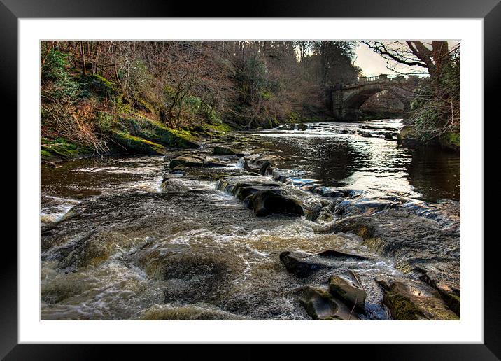 The River Almond Framed Mounted Print by Tom Gomez