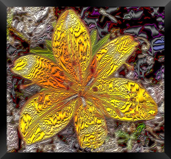FLOWER EXPLOSION Framed Print by Rob Washington