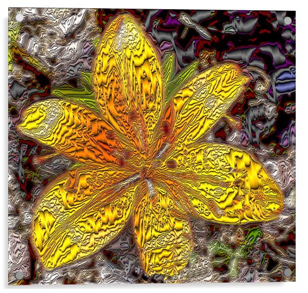 FLOWER EXPLOSION Acrylic by Rob Washington
