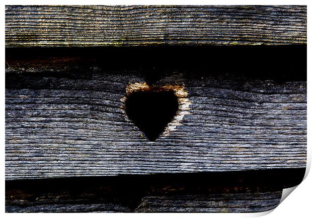 Wooden Heart Print by Keith Campbell