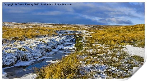 Birkdale Beck Print by Trevor Kersley RIP