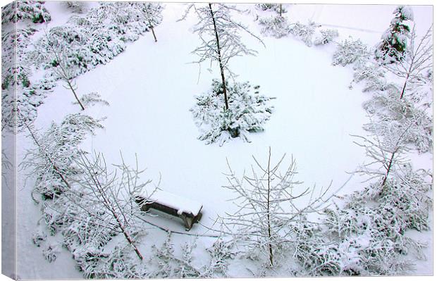 Snowy Bench  Canvas Print by Robert Gillespie