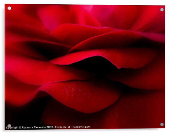 Valentines Rose. Acrylic by Rosanna Zavanaiu