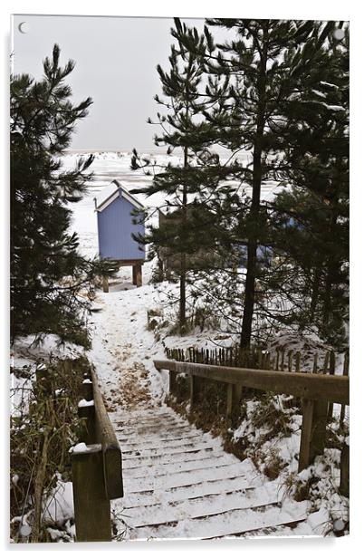 Snowy Stairs to Wells Beach Acrylic by Paul Macro