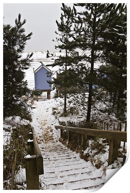 Snowy Stairs to Wells Beach Print by Paul Macro