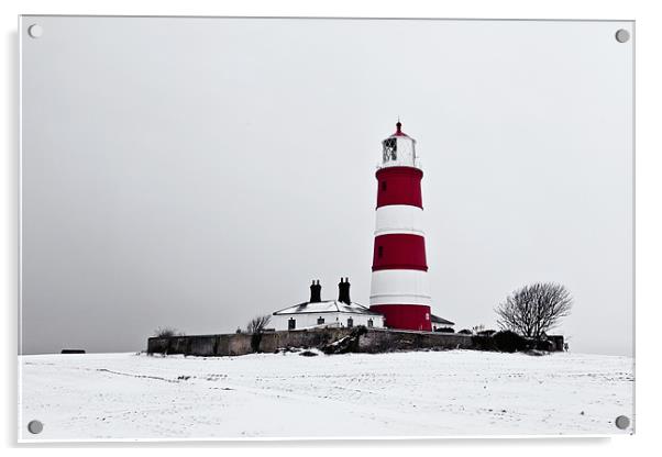 Beacon Among the Snow Acrylic by Paul Macro