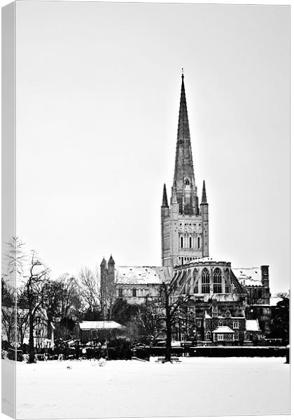 Norwich Cathedral in Winter Canvas Print by Paul Macro