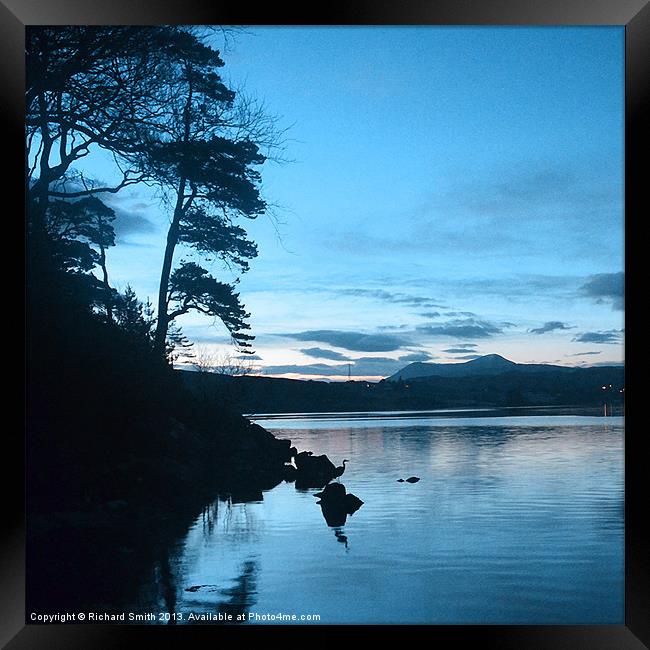 Heron fishing at dawn Framed Print by Richard Smith