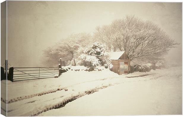 Snowy Shed Canvas Print by Jon Short