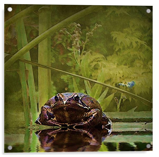 Toad 1 Acrylic by Debra Kelday