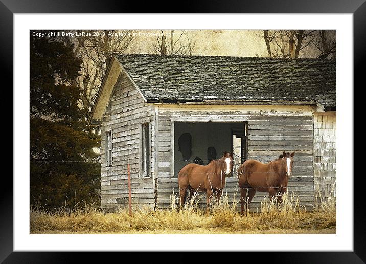 Where Are the People Framed Mounted Print by Betty LaRue