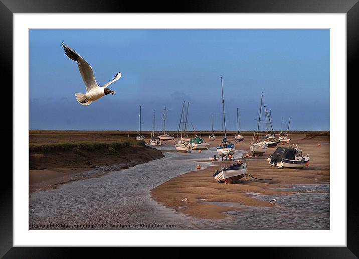 Dinner time at Wells next sea Framed Mounted Print by Mark Bunning