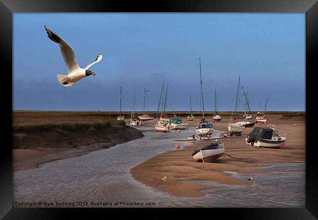 Dinner time at Wells next sea Framed Print by Mark Bunning