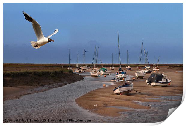 Dinner time at Wells next sea Print by Mark Bunning