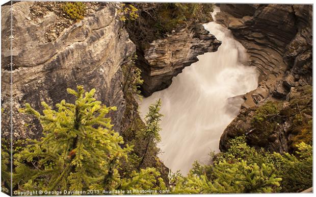 Athabasca Falls 02 Canvas Print by George Davidson