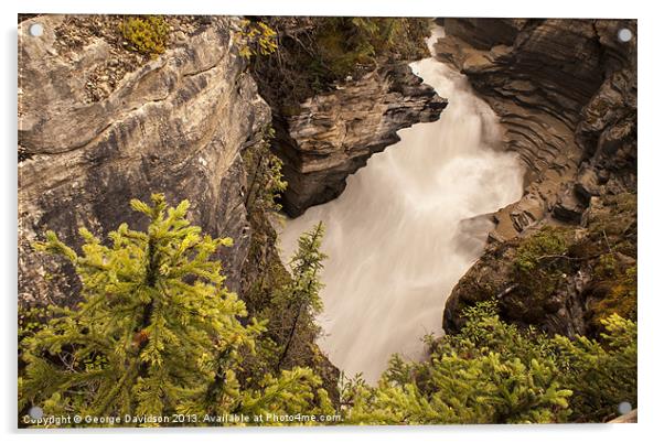 Athabasca Falls 02 Acrylic by George Davidson