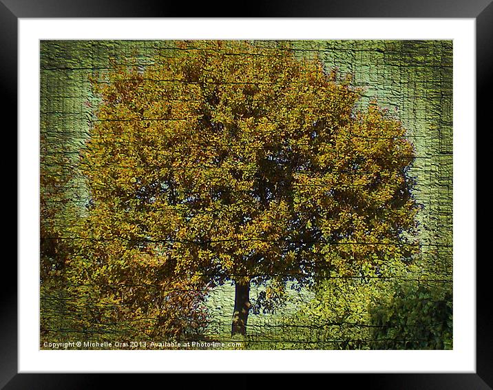 Ye Old Oak Tree Framed Mounted Print by Michelle Orai