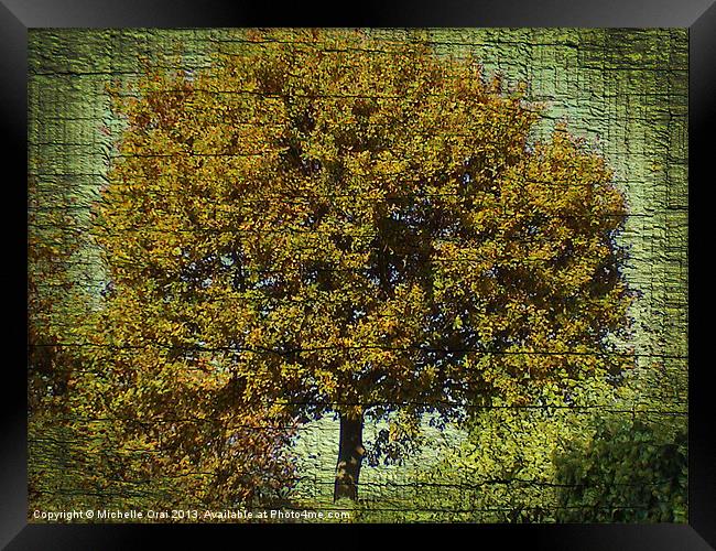 Ye Old Oak Tree Framed Print by Michelle Orai