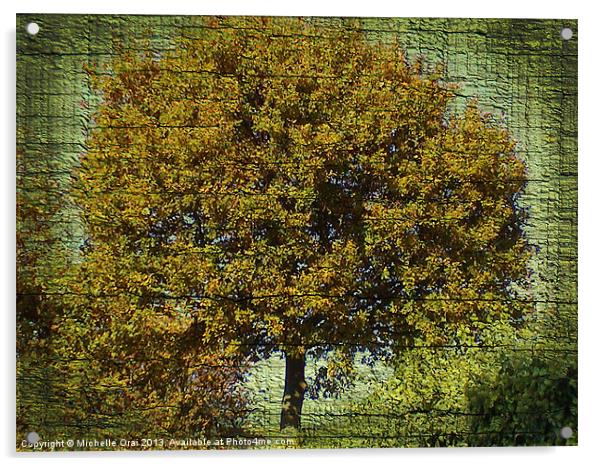 Ye Old Oak Tree Acrylic by Michelle Orai
