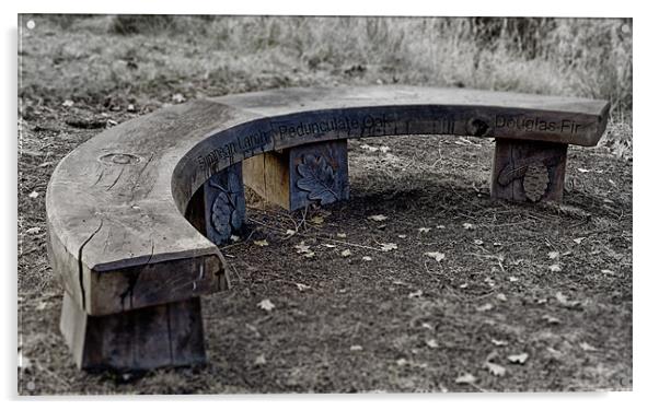 Model Bench Acrylic by Fraser Hetherington