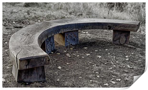 Model Bench Print by Fraser Hetherington