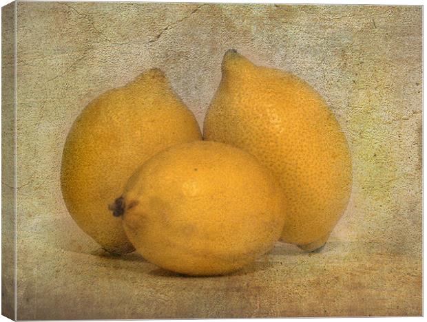 Lemons Canvas Print by Mike Sherman Photog