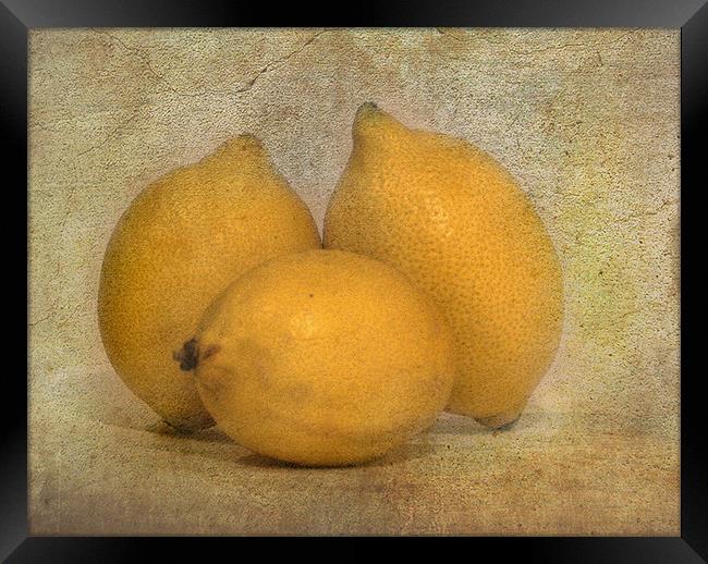 Lemons Framed Print by Mike Sherman Photog