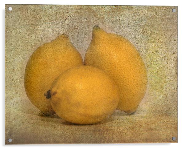Lemons Acrylic by Mike Sherman Photog