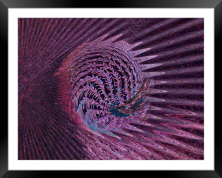 Fireball Cactus Framed Mounted Print by Rob Washington