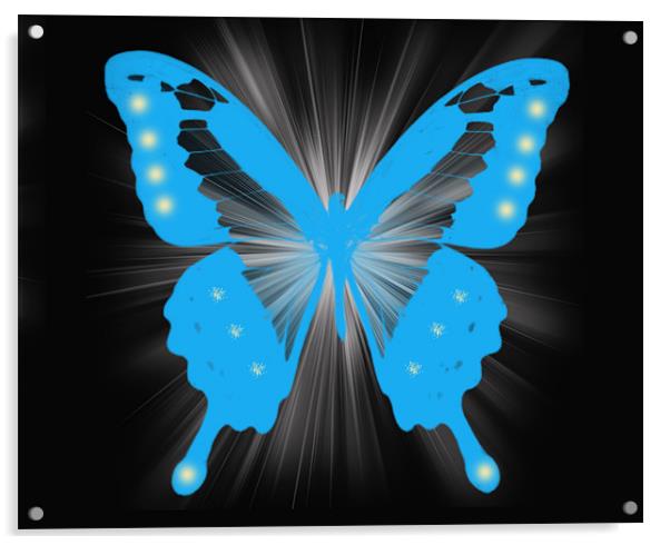 Star Butterfly 2 Acrylic by Emma Ward