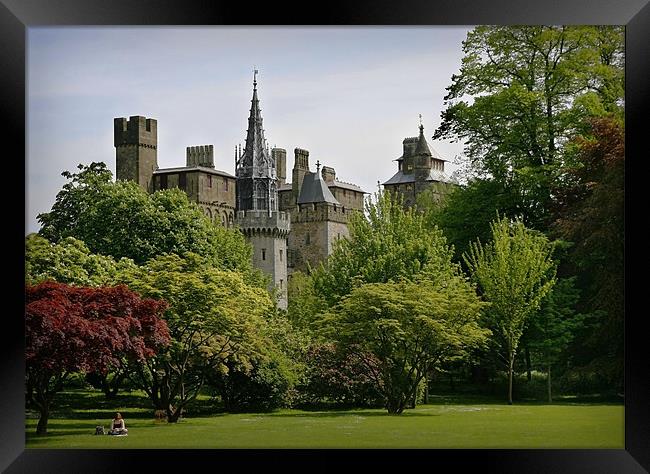CARDIFF CASTLE Framed Print by Anthony R Dudley (LRPS)