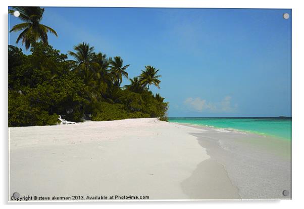 Maldives beach and palm trees Acrylic by steve akerman