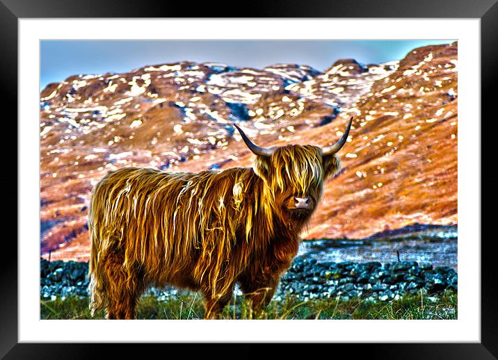 Highland Cow Framed Mounted Print by T2 Images