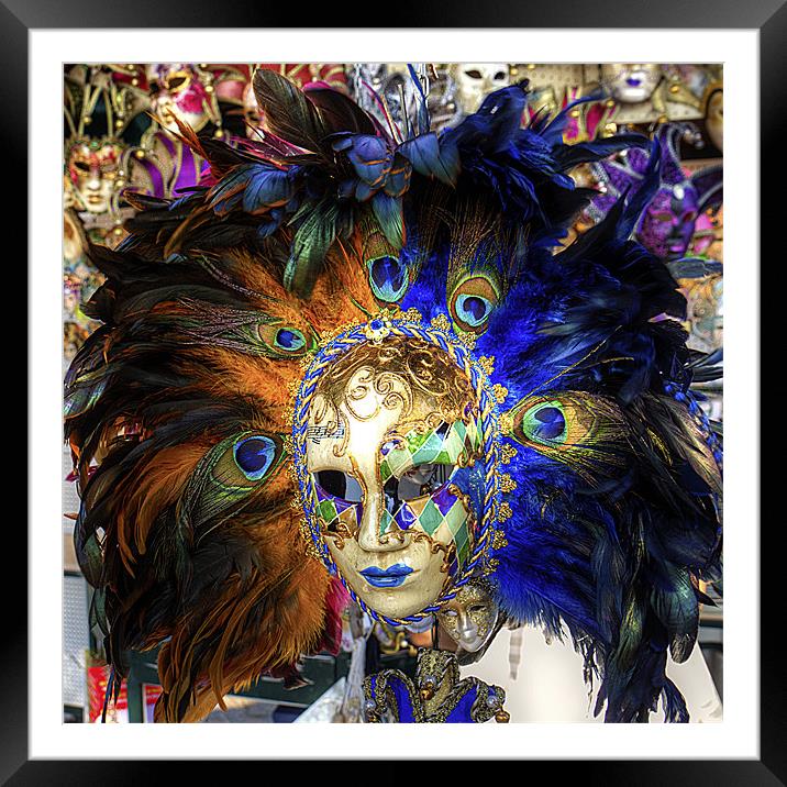 Venetian Carnival Mask Framed Mounted Print by Tom Gomez