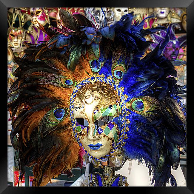 Venetian Carnival Mask Framed Print by Tom Gomez