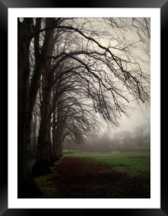 moody day Framed Mounted Print by dale rys (LP)