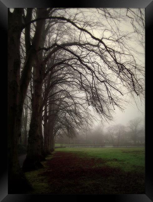 moody day Framed Print by dale rys (LP)
