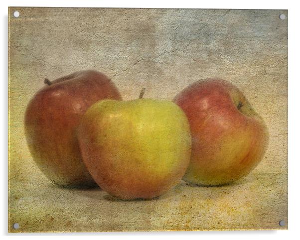 Apples Acrylic by Mike Sherman Photog