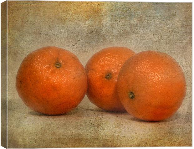 Oranges Canvas Print by Mike Sherman Photog